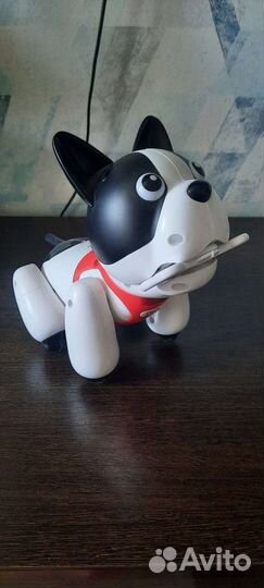 Собака робот