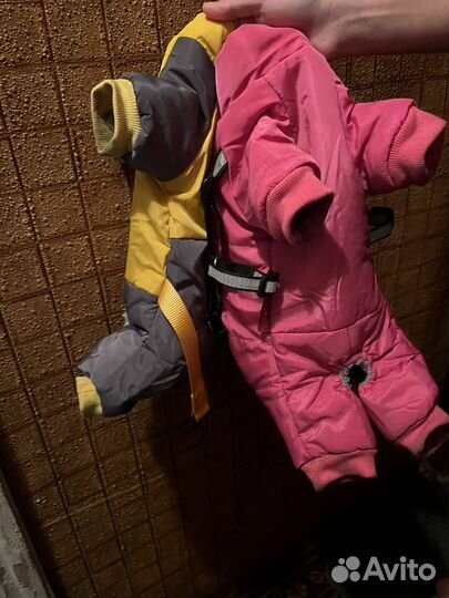 Зимний комбинезон для маленькой собаки