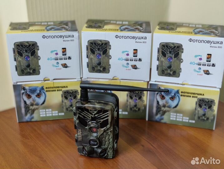 Фотоловушка Филин 800 email/MMS в Ижевске, новые