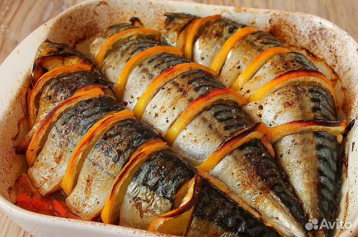 Скумбрия атлантическая