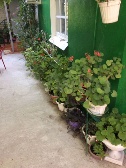 Комната 18 м², 2/3 эт.