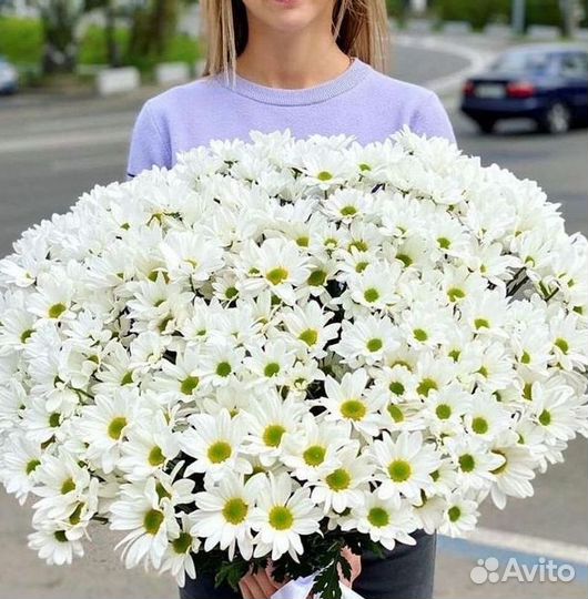 Хризантема Букеты доставка цветов