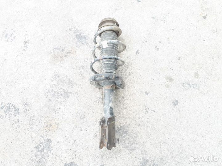 Амортизатор передний правый (в сборе) Kia Rio