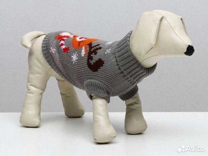 Одежда для собачек)