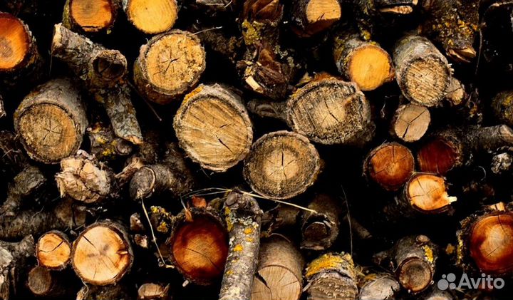 Дрова в камин