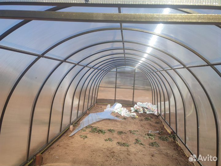 Теплица 3 на 6