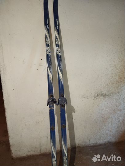 Беговые лыжи