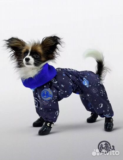 Зимний комбинезон для собак