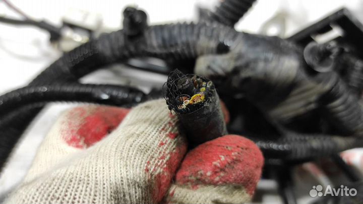 Проводка подкапотная Ford Focus 3 1722665. Моторна