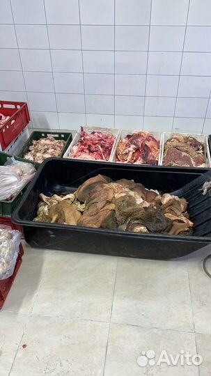 Собачий корм