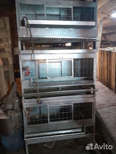 Брудер для цыплят бу