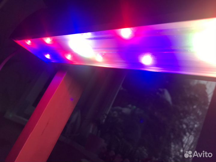 Фитолампа для рассады, дом.растений. 34 диода