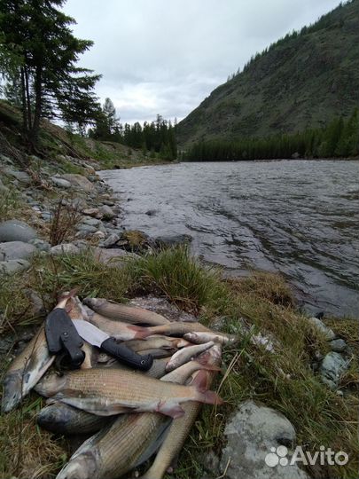 Отдых в горах и рыбалка