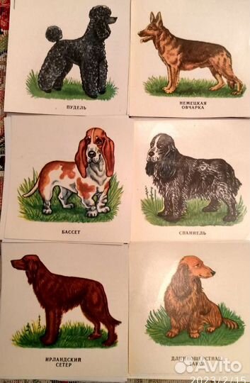 Переводные картинки СССР