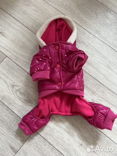 Комбинезон для собаки