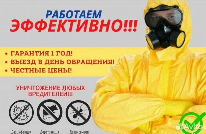 Дезинсекция