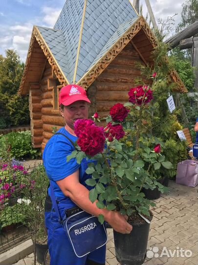 Работники на посадку растений