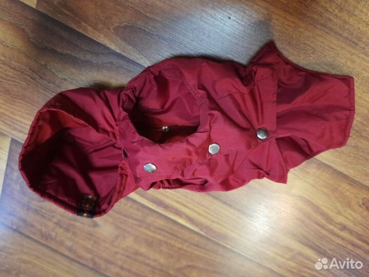 Жилет для маленькой собачки