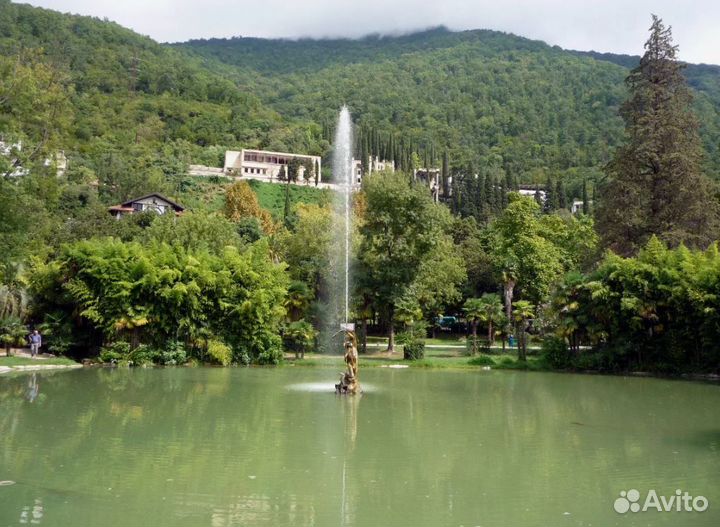 Тур в Гагры (Абхазия) 7 ночей