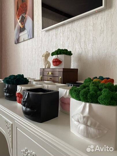 Гипсовое кашпо со стабилизированным мхом