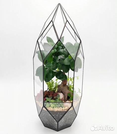 Флорариум с бонсай