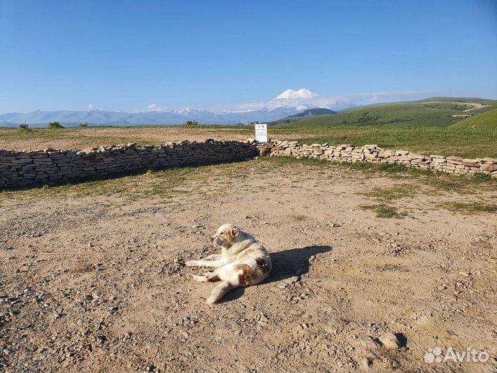 Отпуск, путешествия, туры