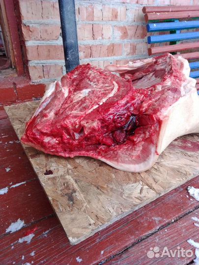 Мясо свинины