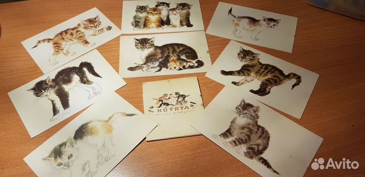 Кошки открытки, наборы