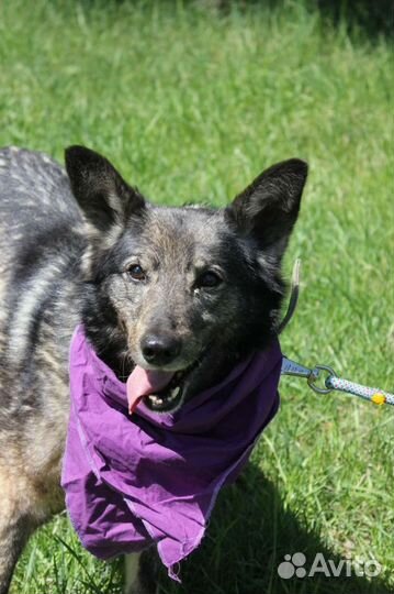 Она видела только равнодушие и боль, спаси ее