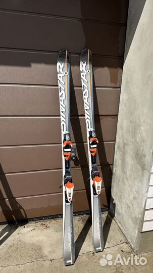 Горные лыжи