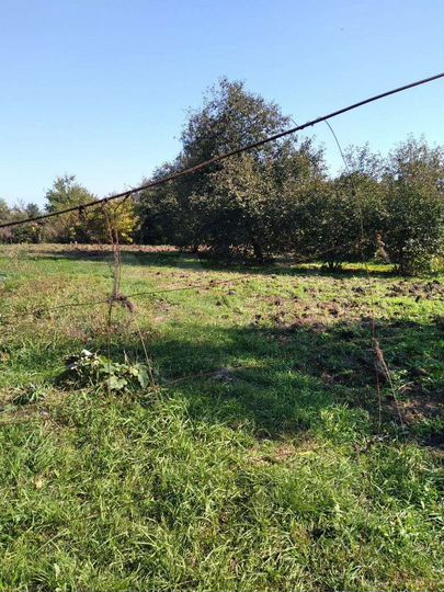 Участок 12 сот. (ИЖС)