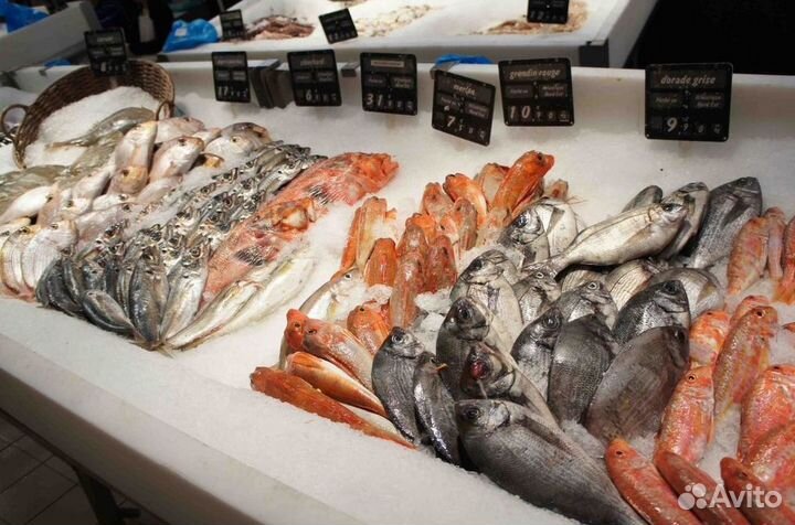 Готовый бизнес: рыбный магазин с доходом