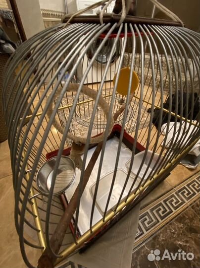 Клетка для попугая