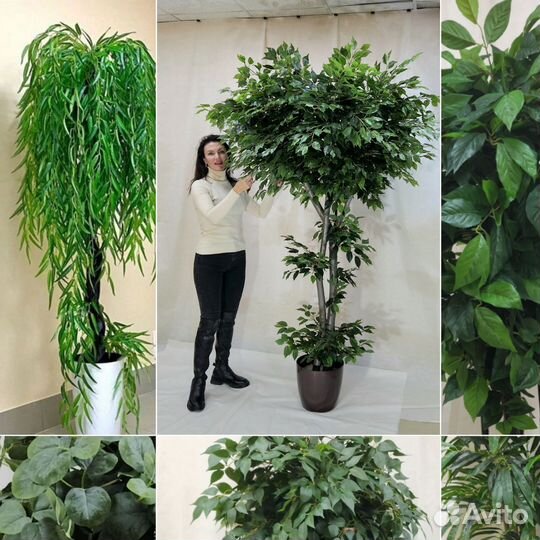 Бамбук Премиум искусственный цветок в подарок