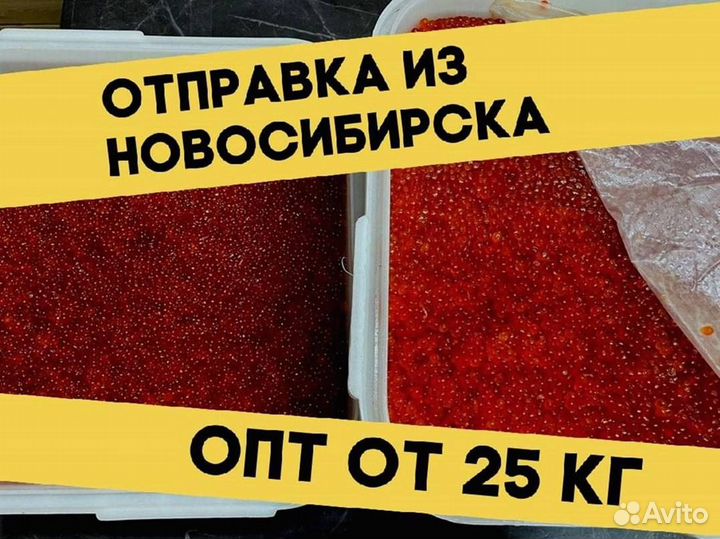 Красная икра кеты, улов 2023 года