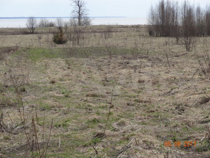 Участок 52 сот. (ИЖС)