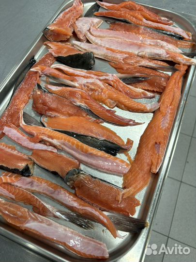 Кета брюшки