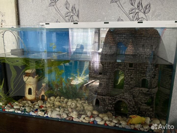 Аквариум 9 литров