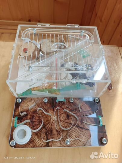 Муравьиная ферма (без муравьев)