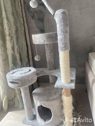 Когтеточка