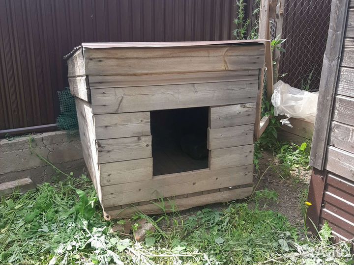 Собачья конура