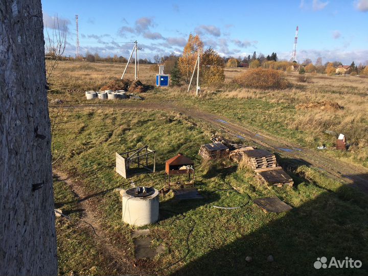 Молочная ферма. Коровье и козье молоко