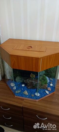 Аквариум
