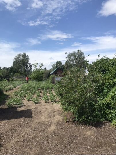 Дача 10 м² на участке 6 сот.