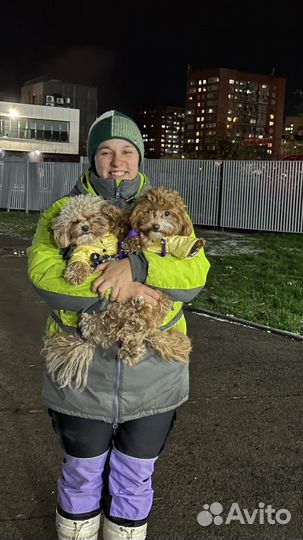 Дрессировка собак с передержкой и с выездом