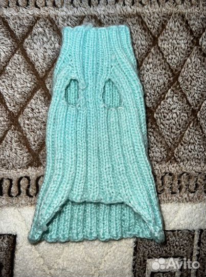 Одежда для котёнка