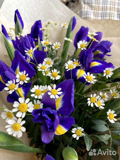 Букет из ирисов и полевых ромашек
