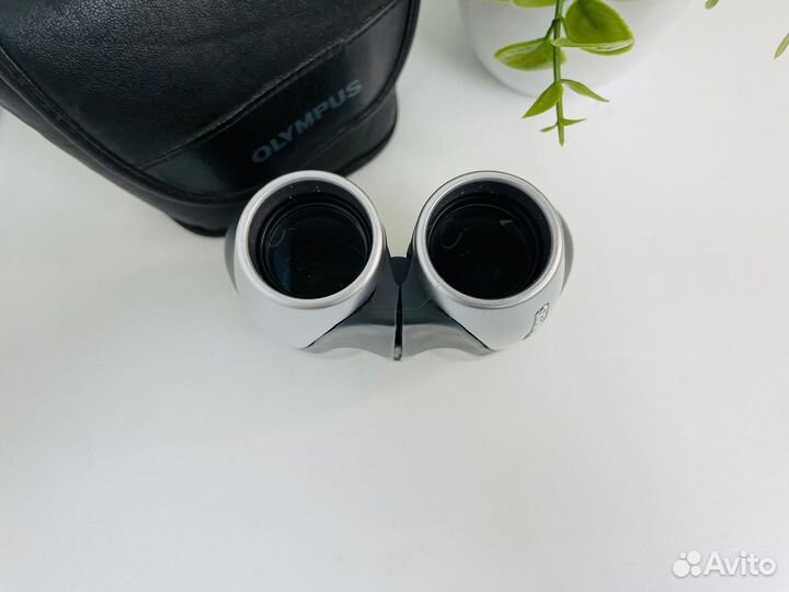 Бинокль Olympus 10-30x25 Zoom PC l