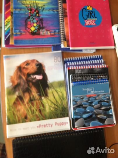 Школьные принадлежности