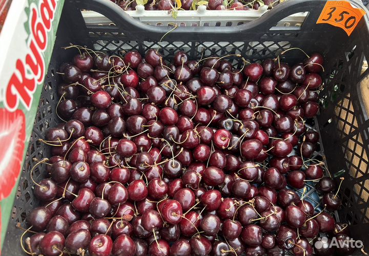 Доставка. Кубанские овощи, фрукты, ягоды